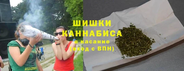 apvp Гусиноозёрск