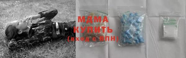 таблы Гусев