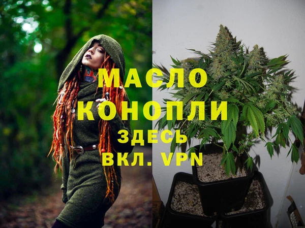 apvp Гусиноозёрск