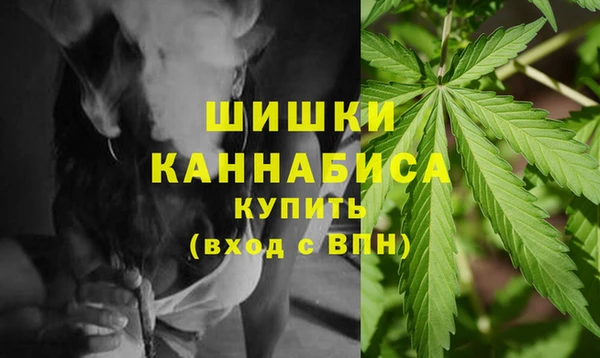 apvp Гусиноозёрск