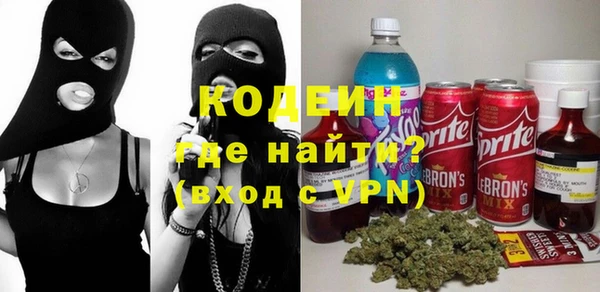 таблы Гусев