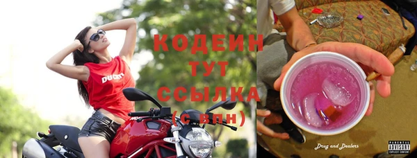 apvp Гусиноозёрск